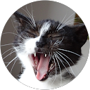 Clem H. profile picture